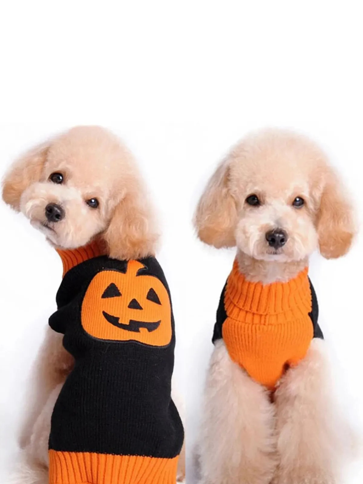 Dog Skull & Pumpkin Halloween Sweater Costume